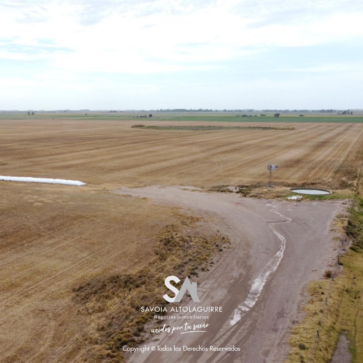 Vende: Campo de 298 Hectáreas. Ubicadas a 3 Km Al Suroeste de La Estación Esteban de Luca, Partido D 4