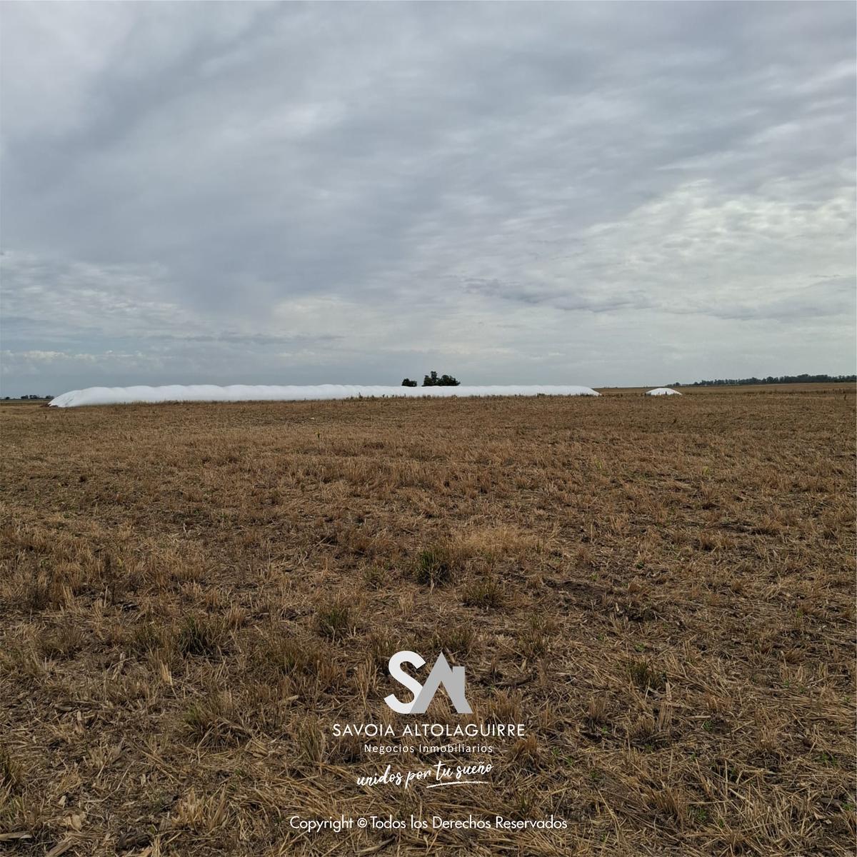 Vende: Campo de 298 Hectáreas. Ubicadas a 3 Km Al Suroeste de La Estación Esteban de Luca, Partido D 3