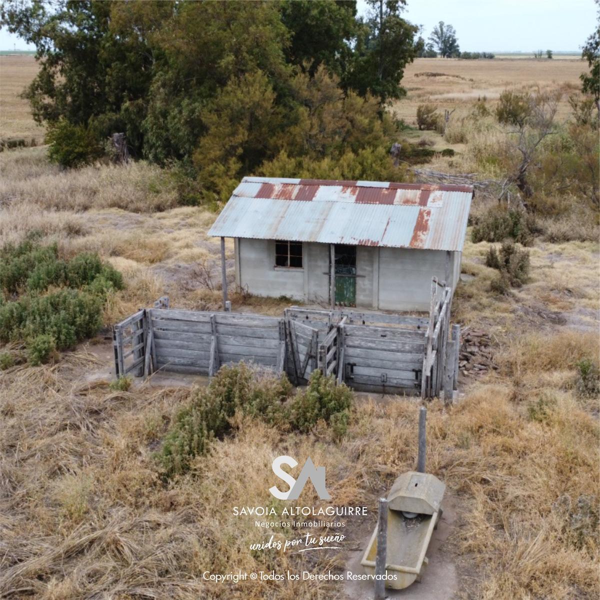 Vende: Campo de 298 Hectáreas. Ubicadas a 3 Km Al Suroeste de La Estación Esteban de Luca, Partido D 2