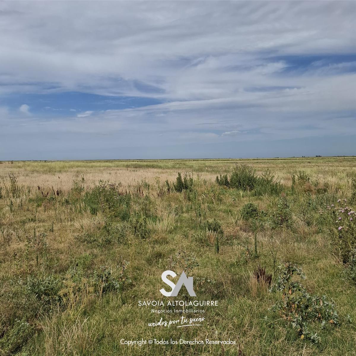 Vende: Campo de 298 Hectáreas. Ubicadas a 3 Km Al Suroeste de La Estación Esteban de Luca, Partido D 5