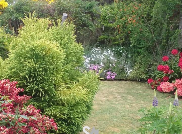 VENDE: HERMOSA CASA DE 3 DORMITORIOS EN VILLA LA ANGOSTURA 2