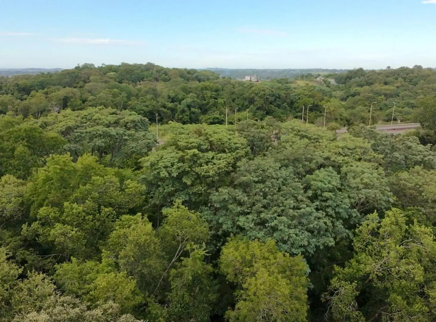 1 HECTÁREA EN VENTA A MINUTOS DE POSADAS 4