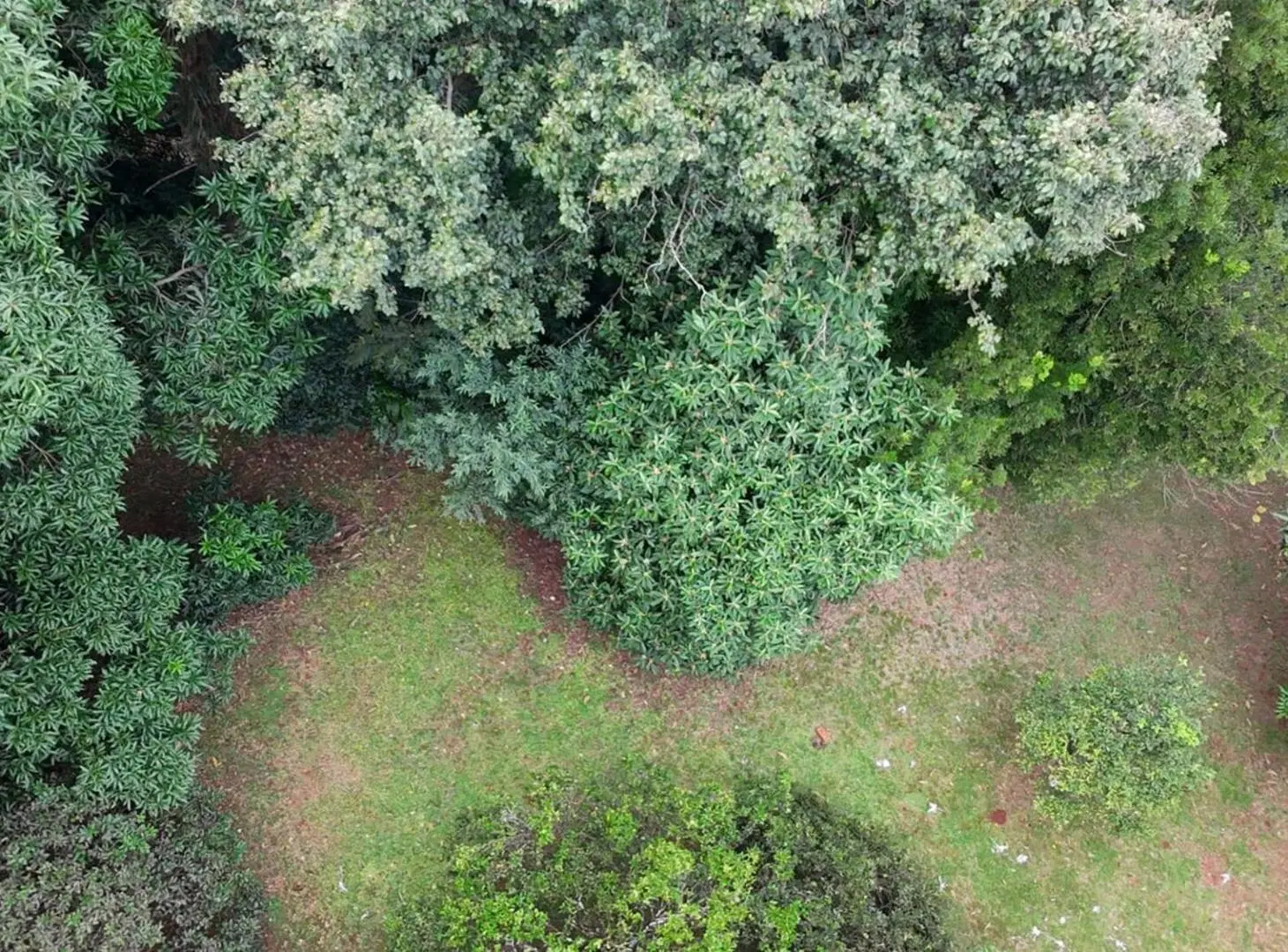 TERRENO EN VENTA EN LA CIUDAD DE POSADAS BARRIO EL YERBAL 5