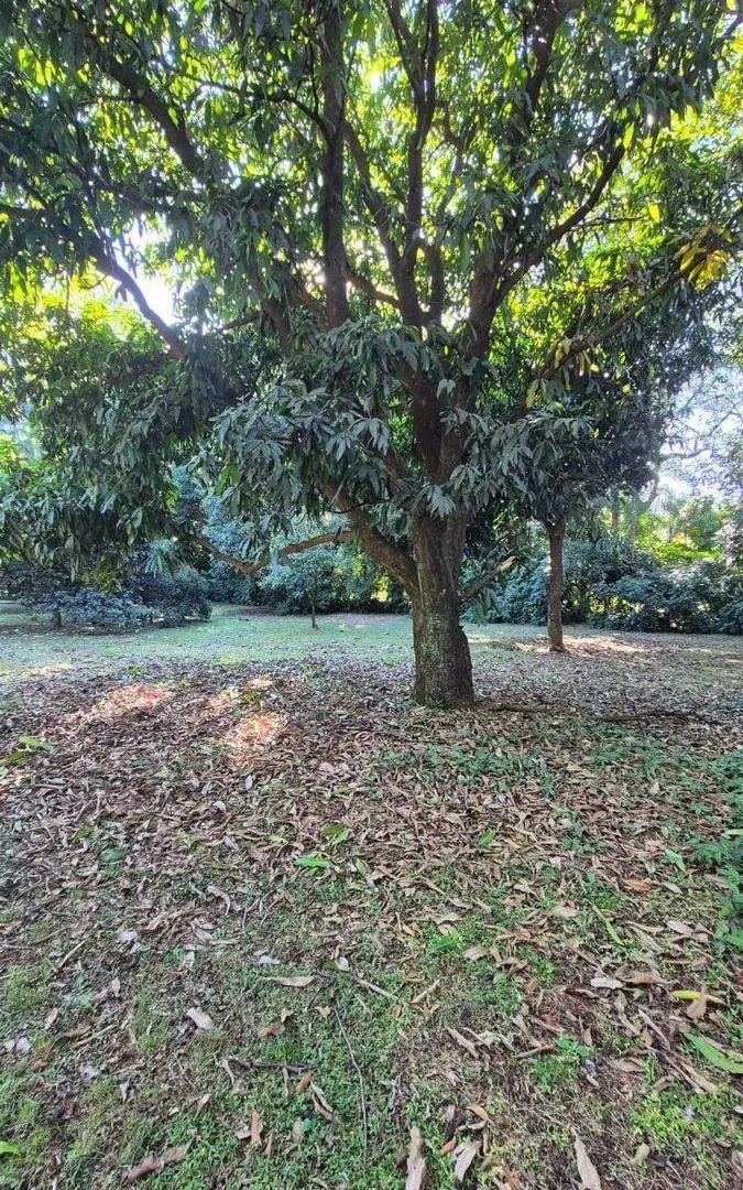 TERRENO EN VENTA EN LA CIUDAD DE POSADAS BARRIO EL YERBAL 2
