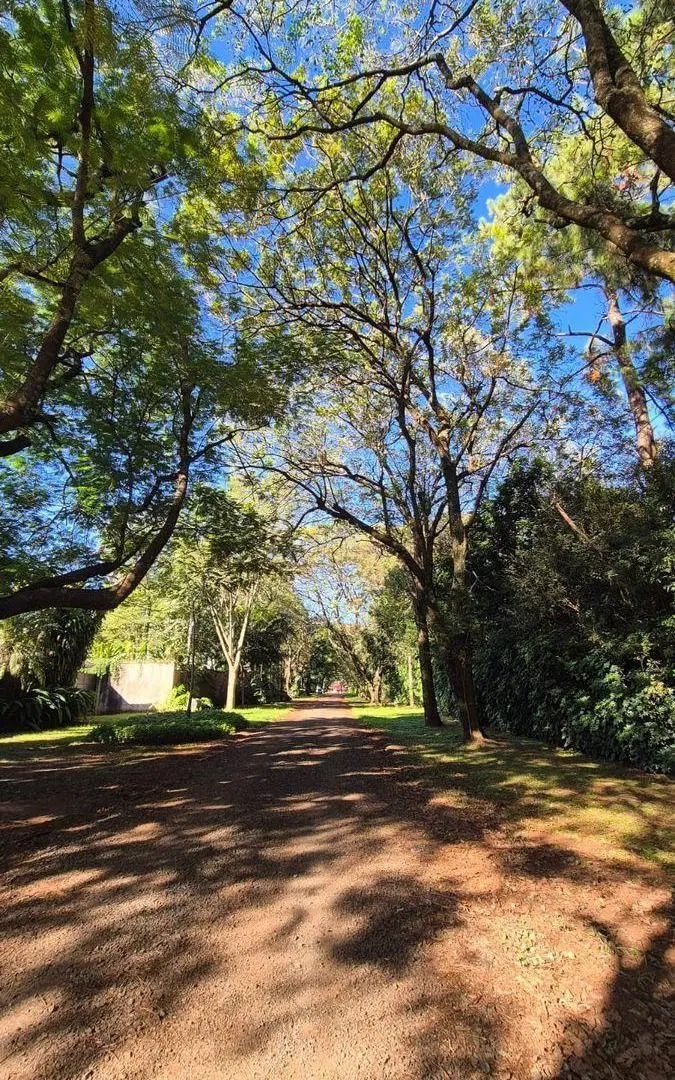 TERRENO EN VENTA EN LA CIUDAD DE POSADAS BARRIO EL YERBAL 4