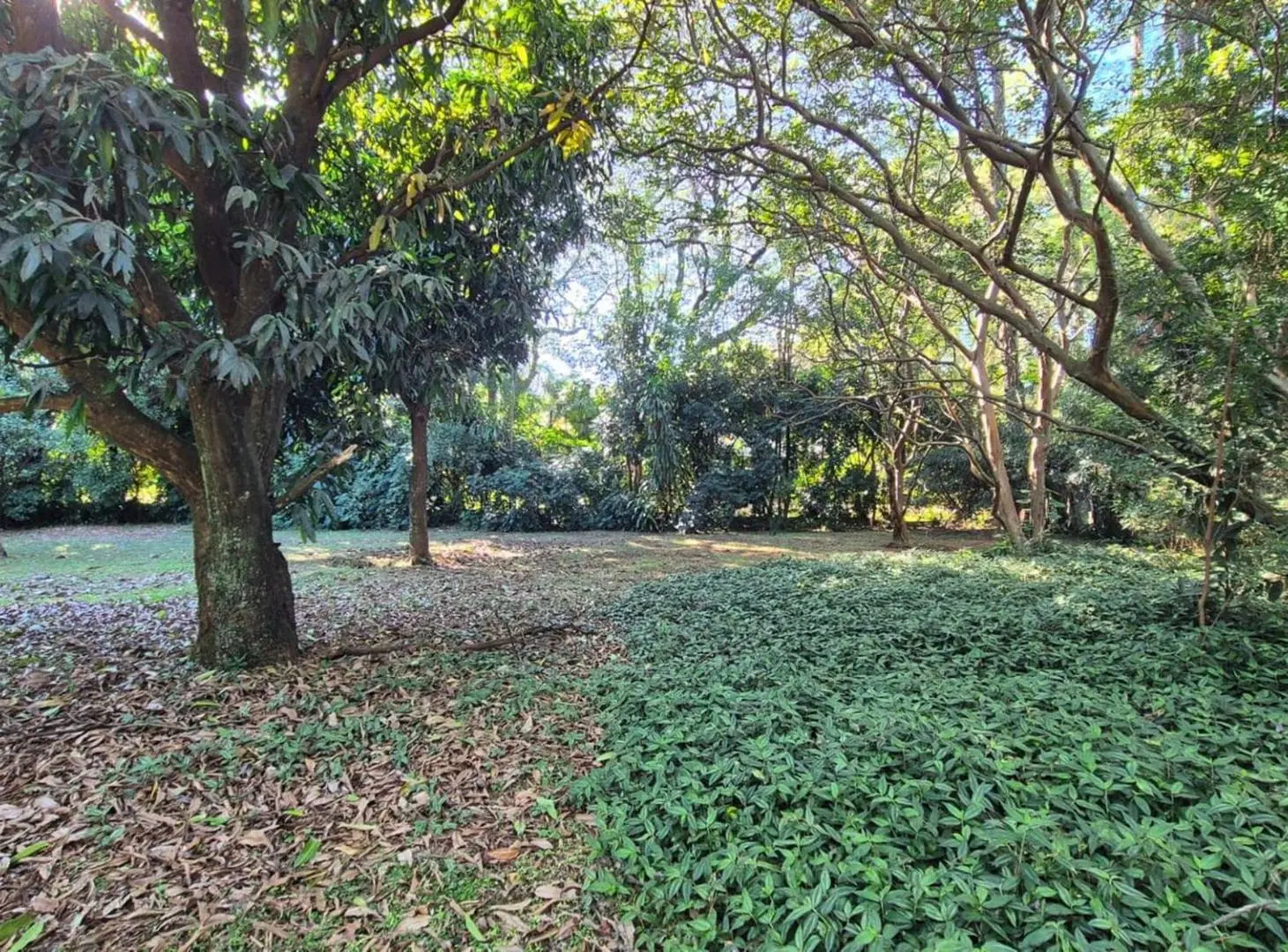 TERRENO EN VENTA EN LA CIUDAD DE POSADAS BARRIO EL YERBAL 3