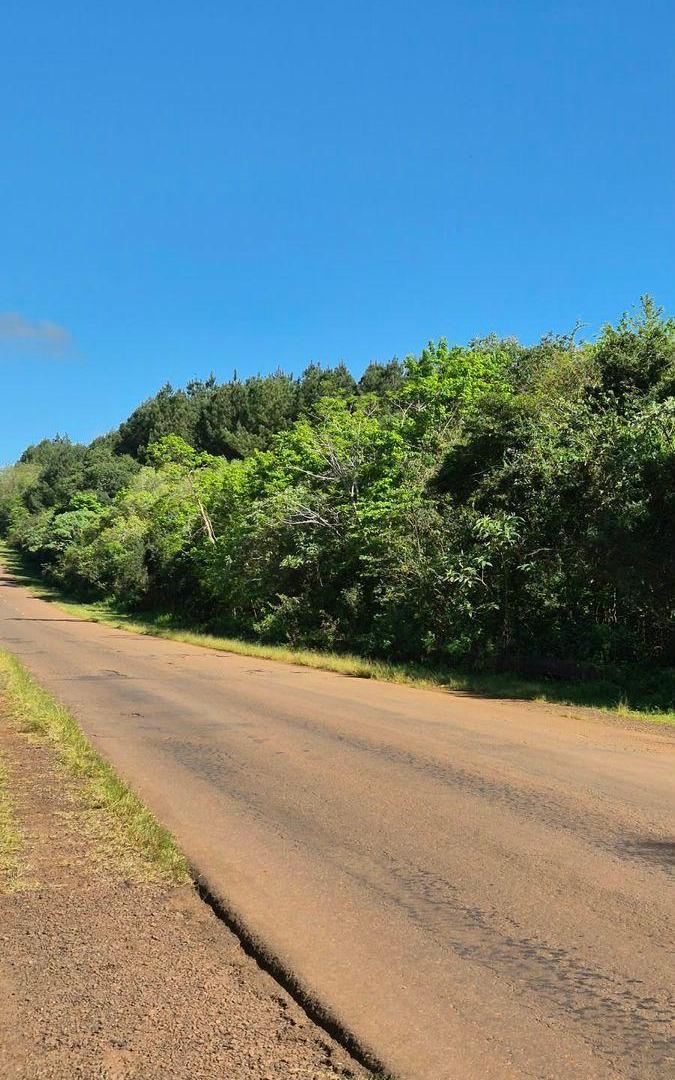 Foto de CAMPO DE 8 HECTÁREAS EN PANAMBÍ MISIONES A METROS DE LA RUTA 2, imagen 5