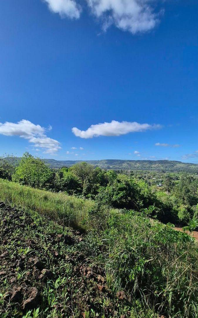Foto de CAMPO DE 8 HECTÁREAS EN PANAMBÍ MISIONES A METROS DE LA RUTA 2, imagen 4