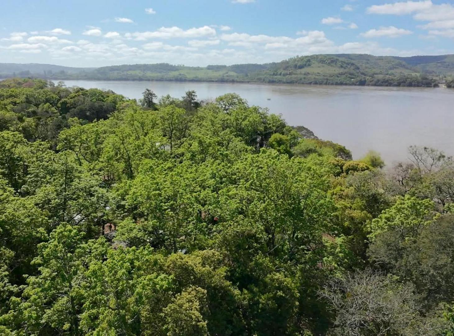 Foto de TERRENOS EN VENTA EN PANAMBÍ MISIONES, imagen 3