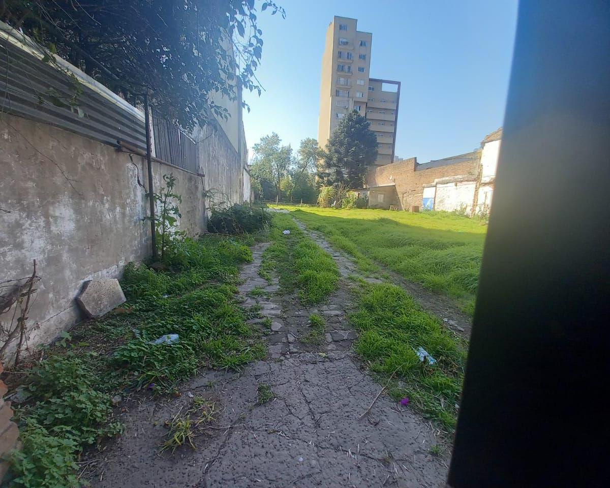 Lote . | Paunero al 2100