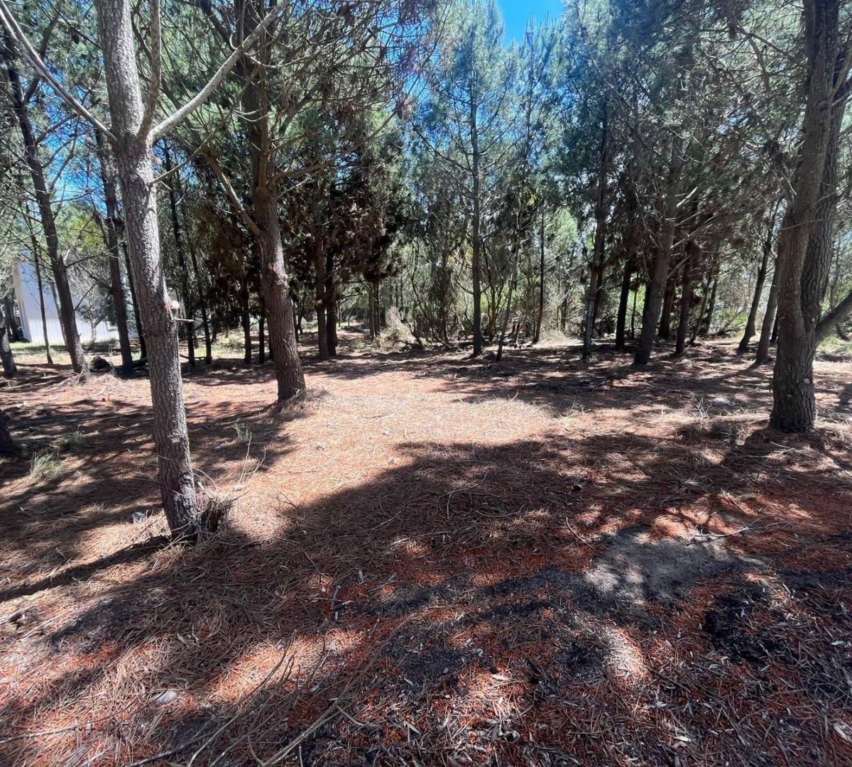 Lote. | Ruta 11 Km 380 3