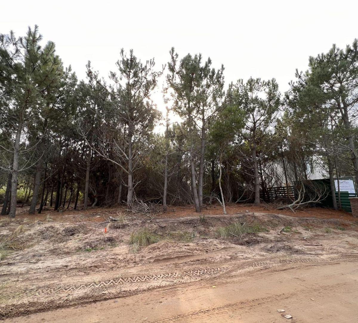 Lote. | Ruta 11 Km 380 1