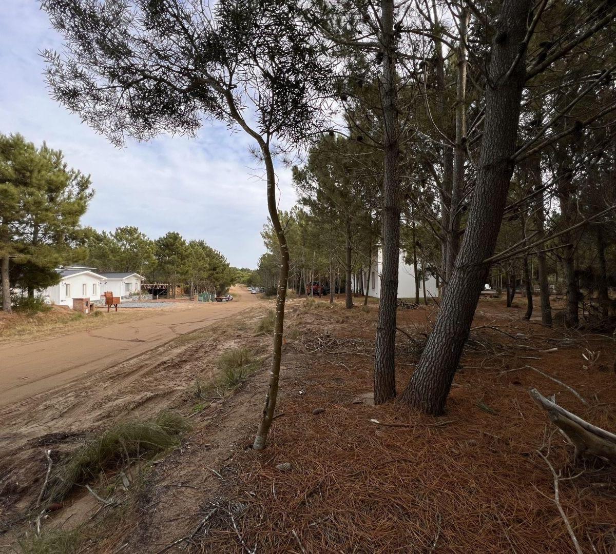 Lote. | Ruta 11 Km 380 4