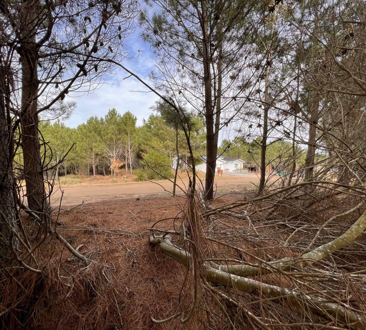 Lote. | Ruta 11 Km 380 5