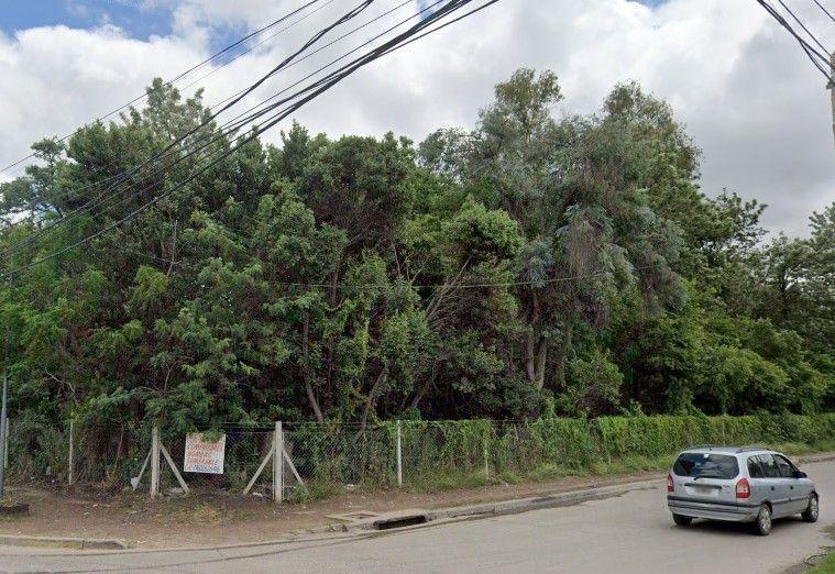Lote. | Chile y Rosetti 4