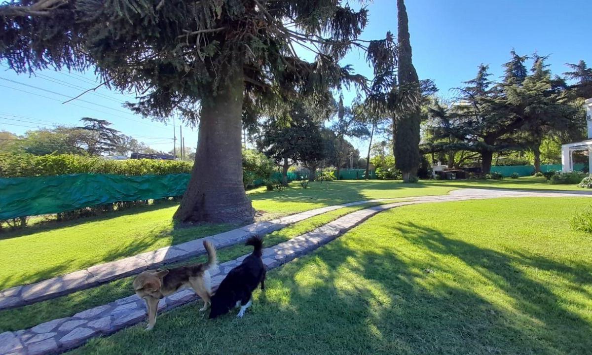 Foto de Lote . | Av. Pres. Arturo U. Illia al 11400, imagen 3