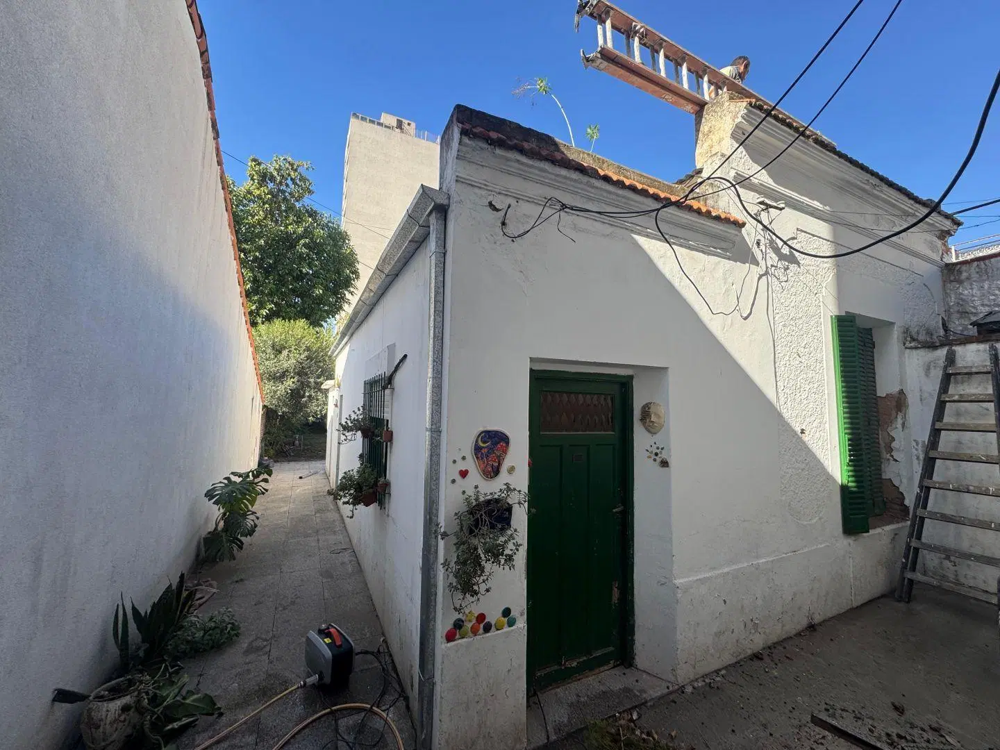 Local . | Tribulato al 600 5