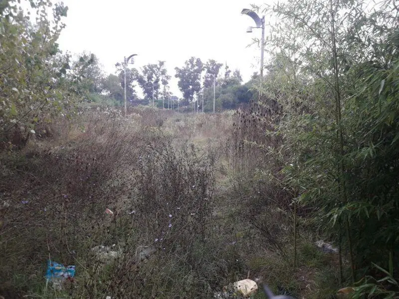 Lote . | Av. Blasco Ibañez al 3303/25/00 2