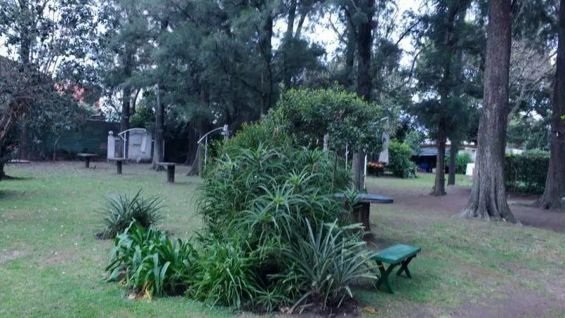 Lote . | Muñoz al 2100 4