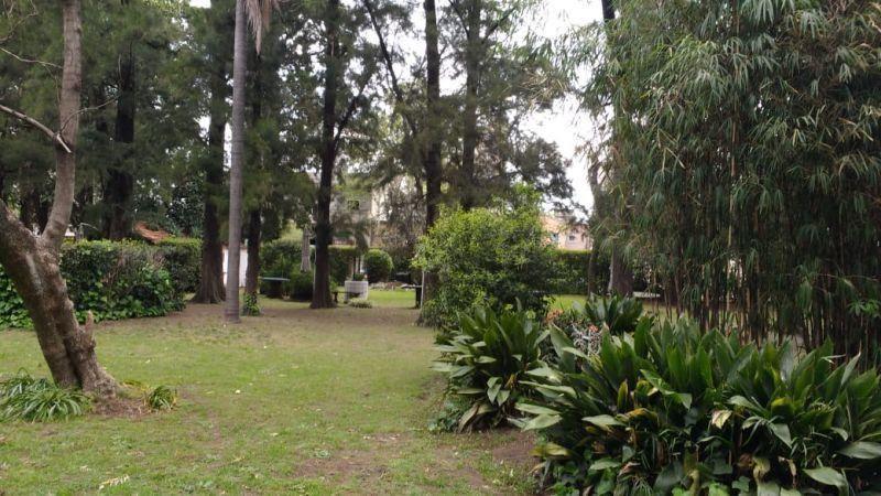 Lote . | Muñoz al 2100