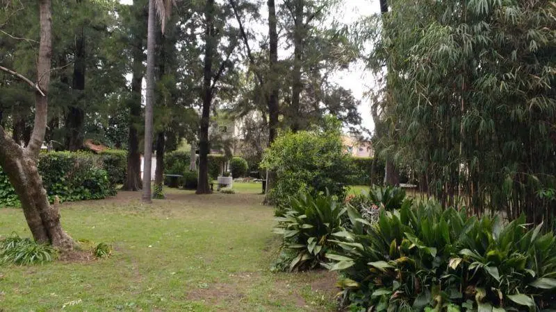Lote . | Muñoz al 2100 1