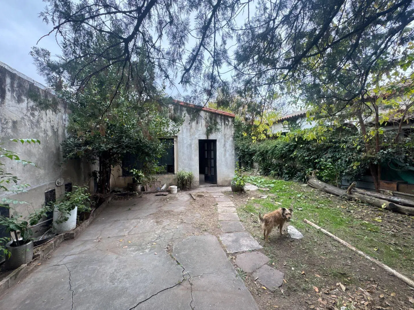 Lote . | Olegario Victor Andrade al 100 2