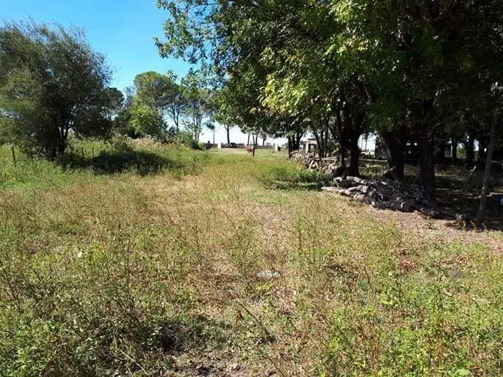 Lote . | Ruta Nacional N° 12 5