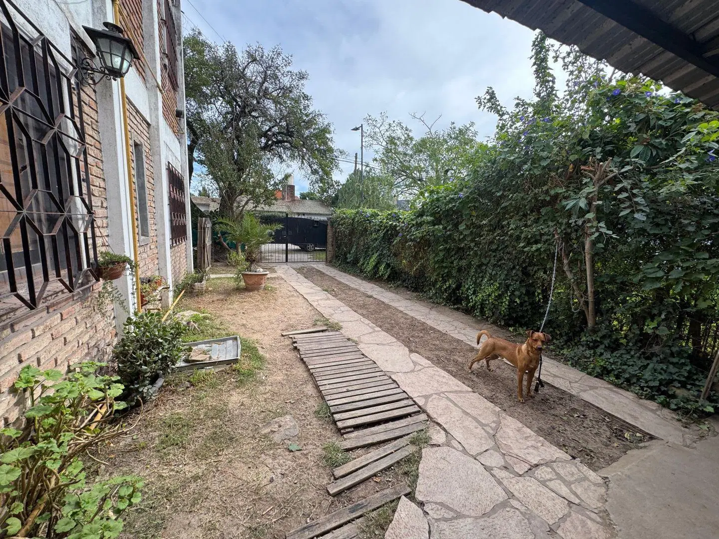 Casa 3 ambientes. | Cordoba al 2900 5