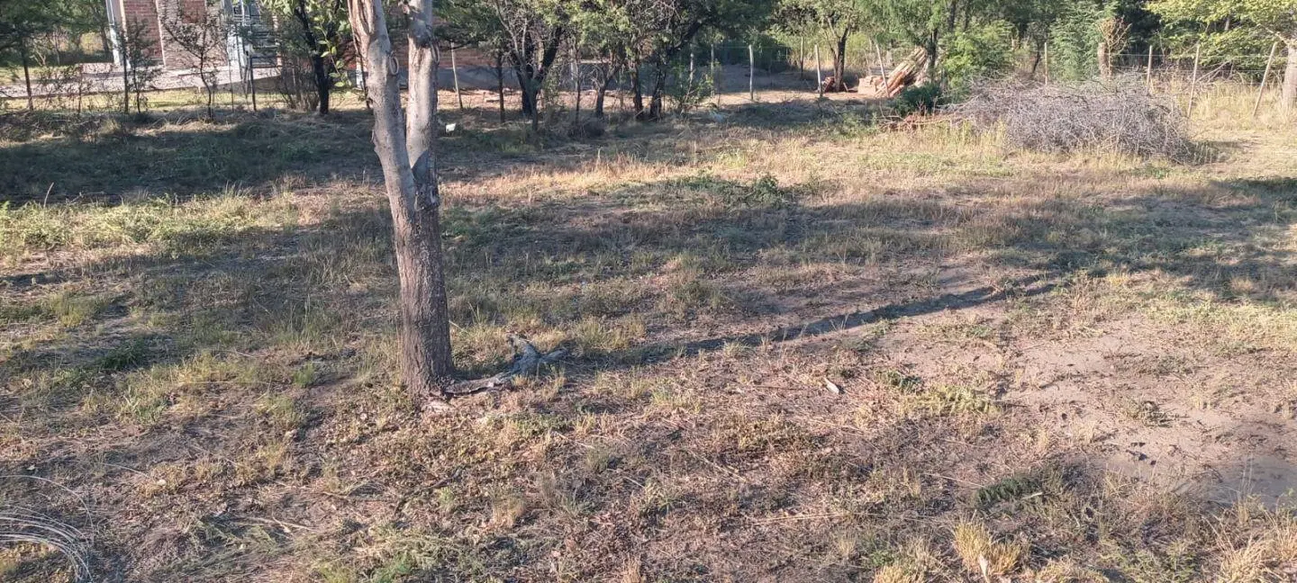 Lote . | Boulevard Paso de las Carretas 4