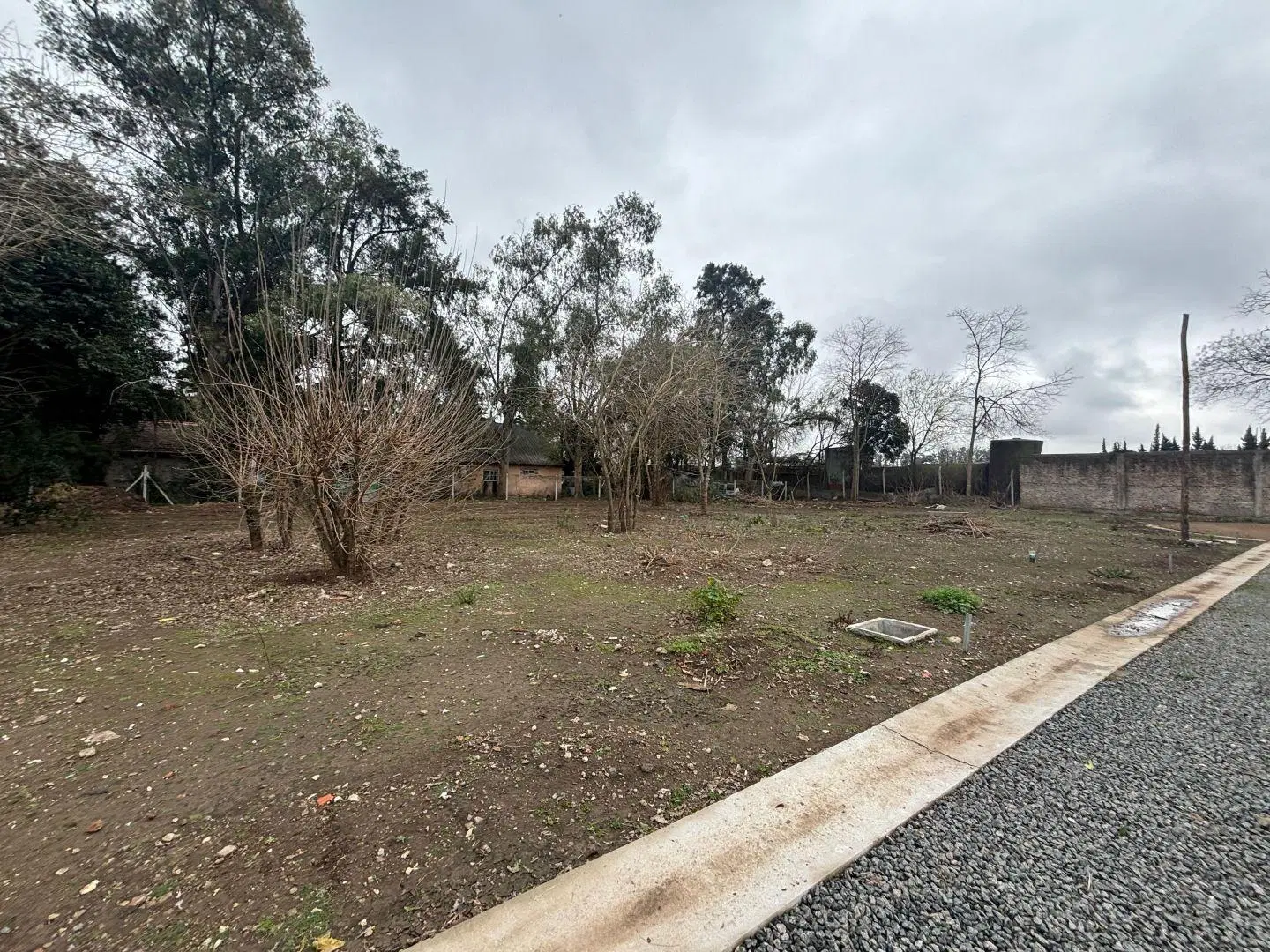Lote . | Fray Justo Santa Maria de Oro al 6084 (100 4