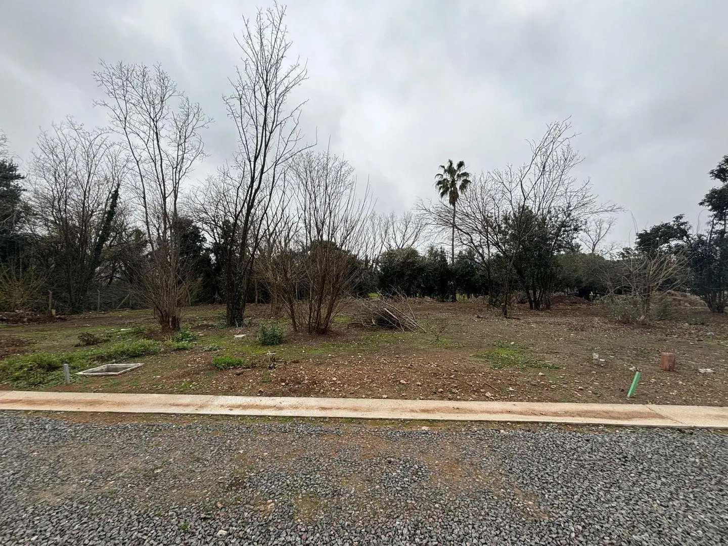 Lote . | Fray Justo Santa Maria de Oro al 6084 (100 5