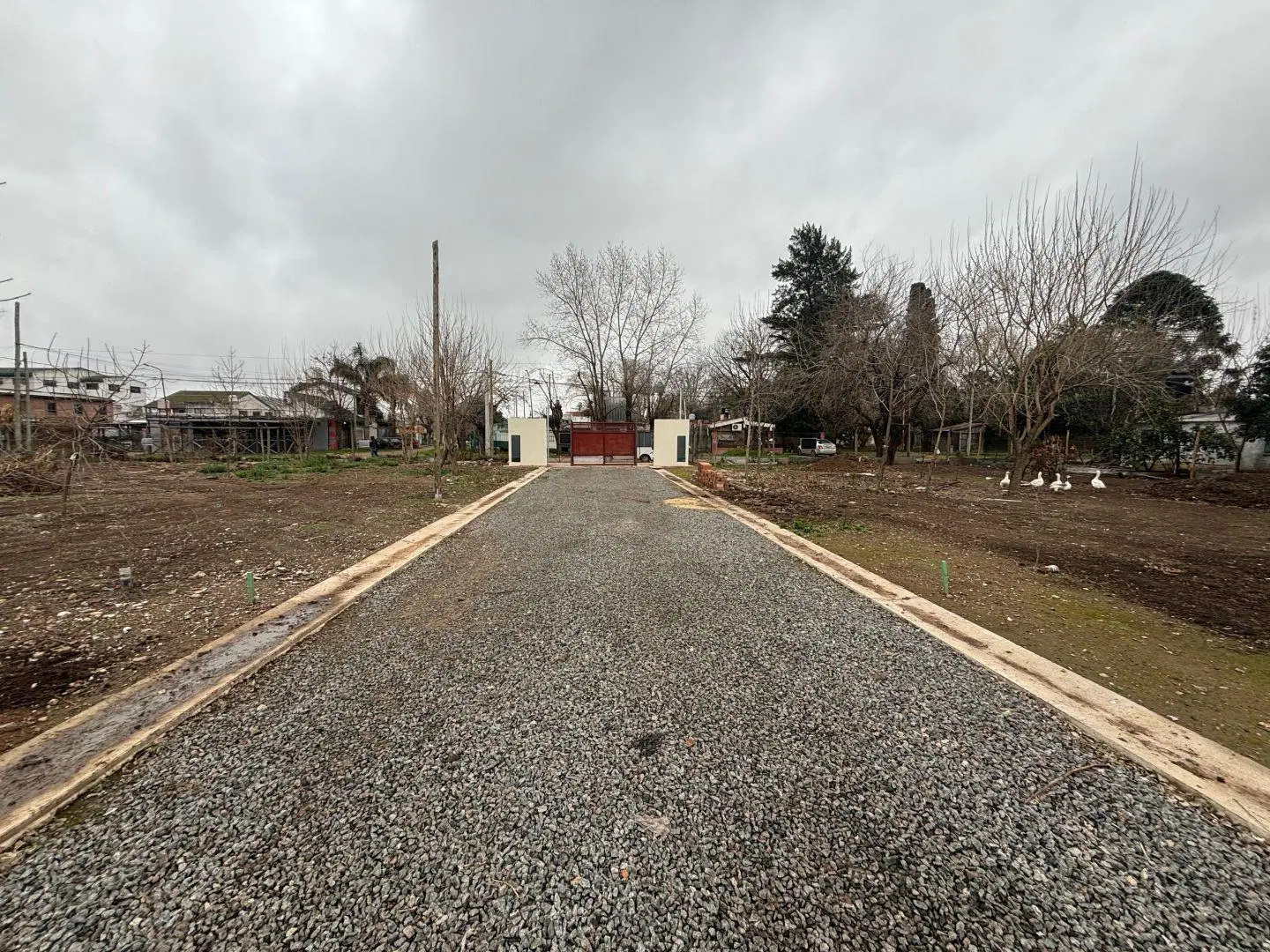 Lote . | Fray Justo Santa Maria de Oro al 6084 (100 5