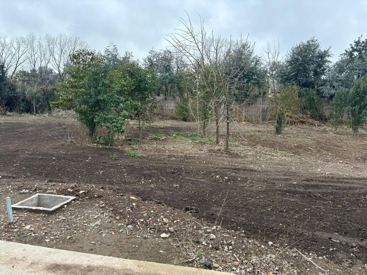 Lote . | Fray Justo Santa Maria de Oro al 6084 (100 3