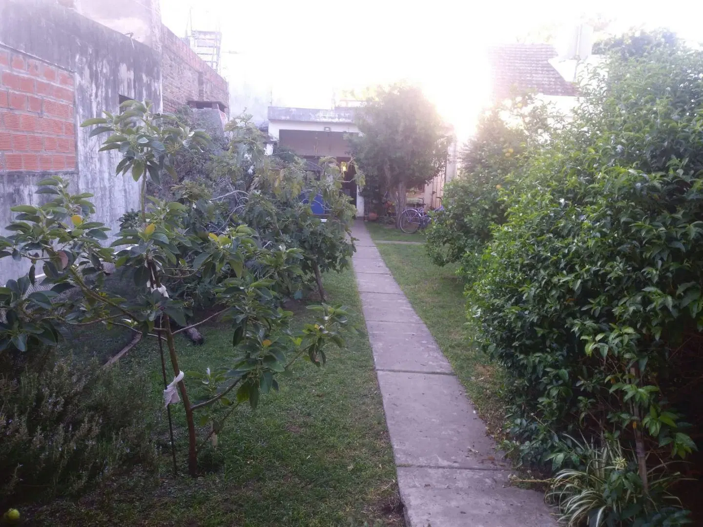 Casa 4 ambientes. | San Jose al 1700 4