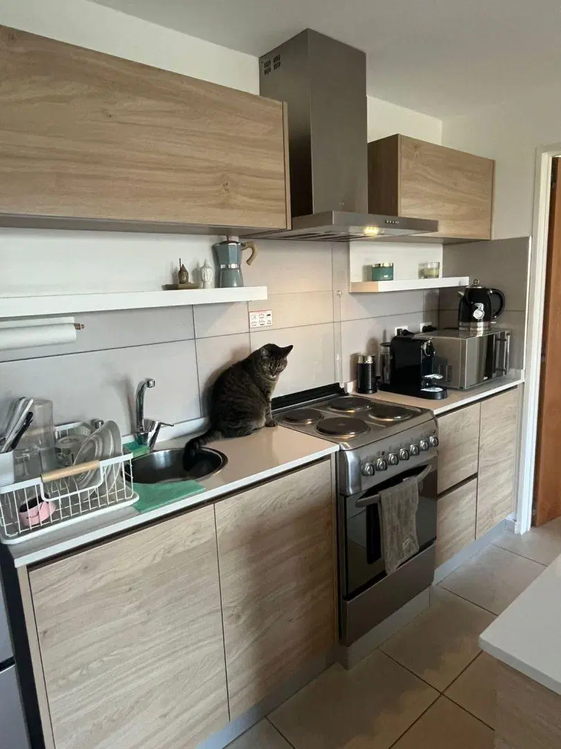 Departamento 2 ambientes. | Jose Leon Suarez al 1700 5