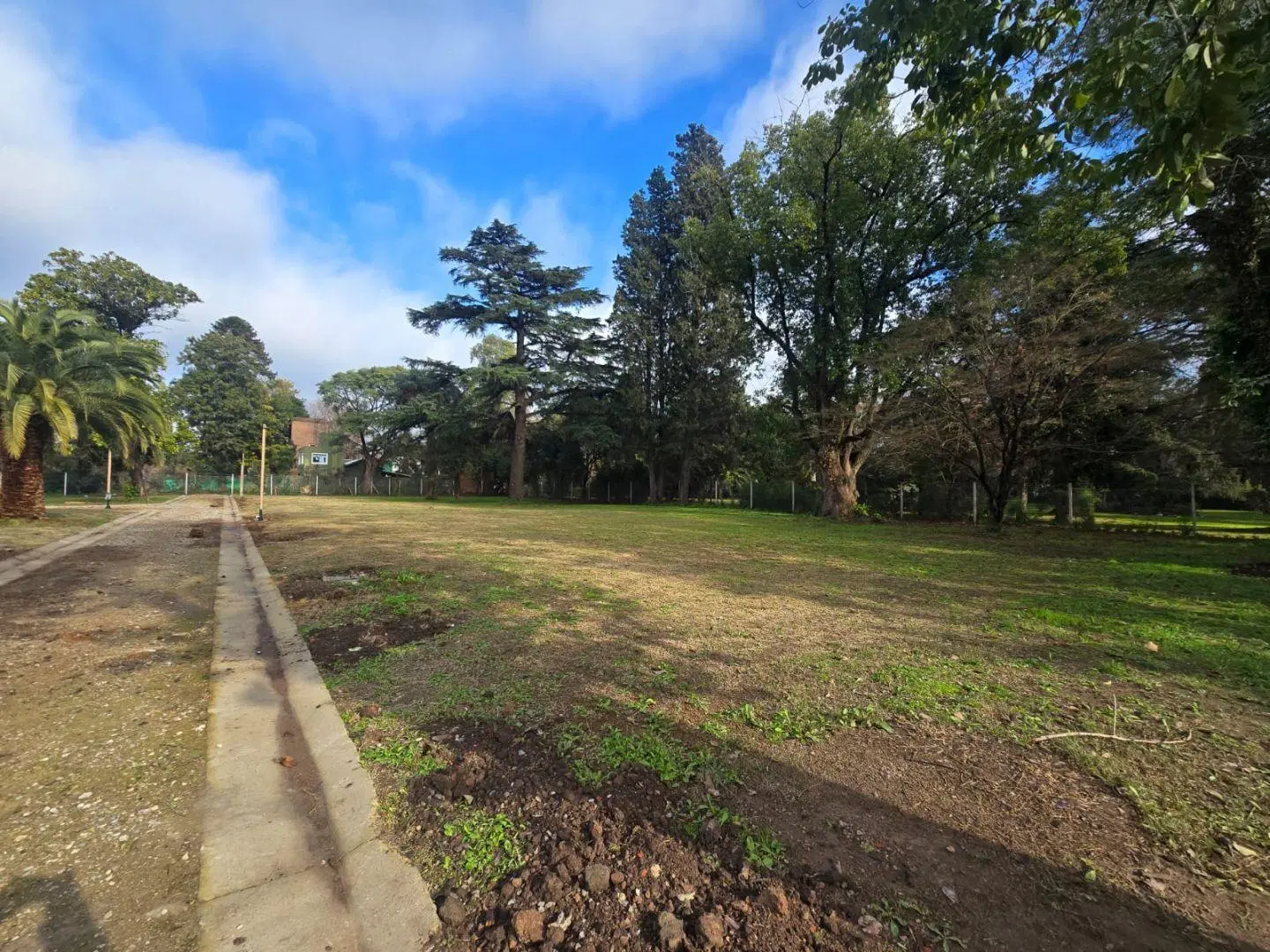 Lote . | Rodriguez Peña al 2400 8
