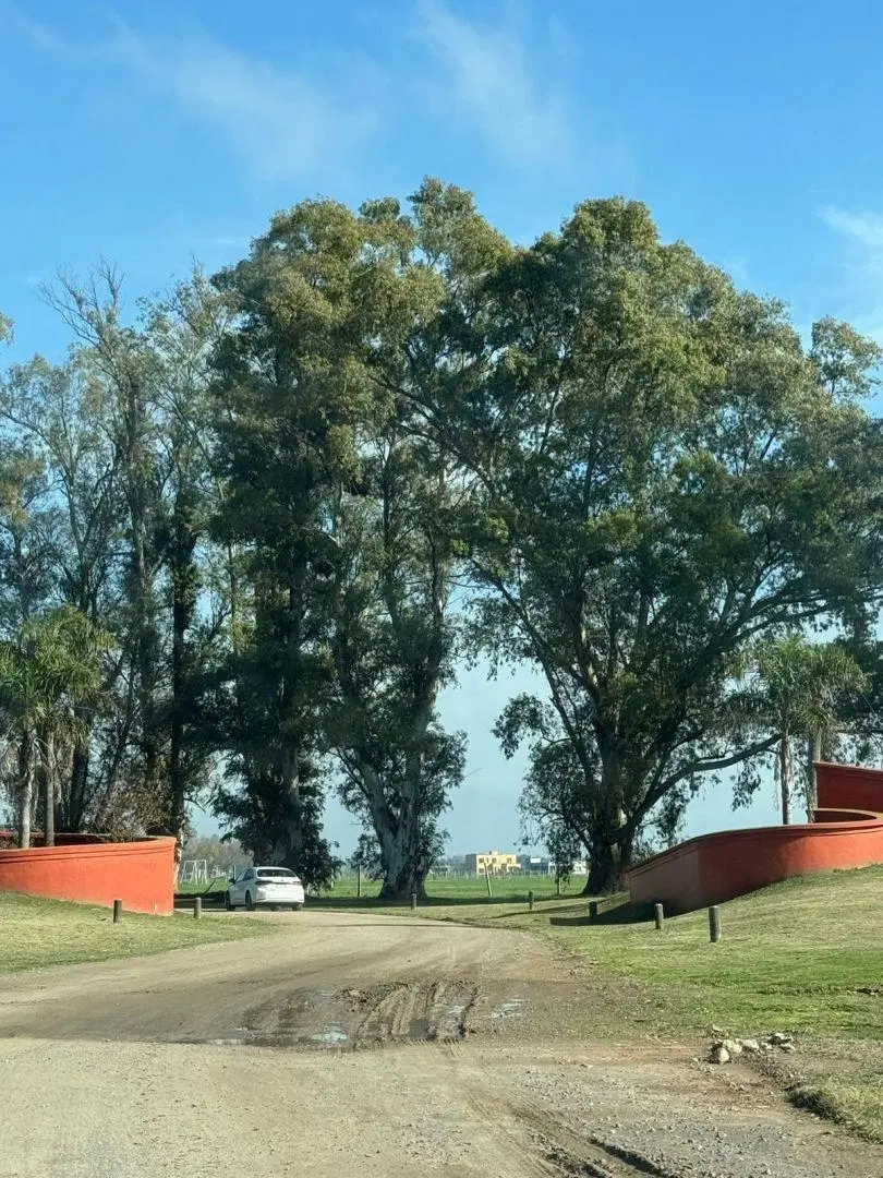 Lote . | Ruta 6 km 42 3