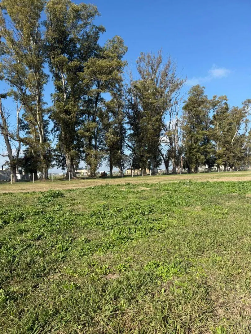 Lote . | Ruta 6 km 42 5