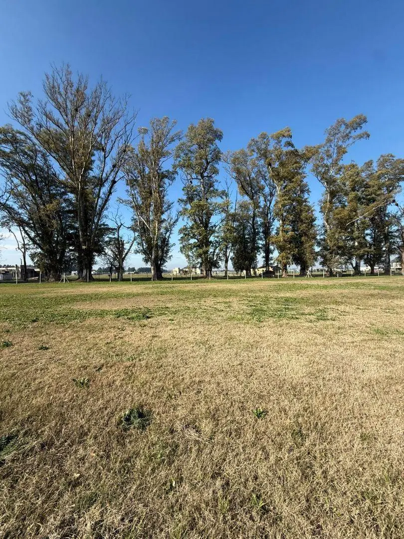 Lote . | Ruta 6 km 42 4