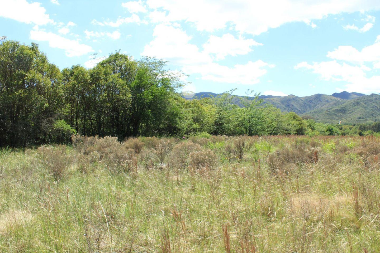 Foto de Lote . | Mitre y San Lorenzo, imagen 3