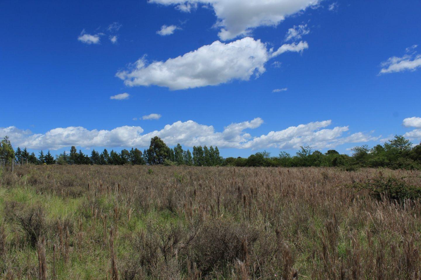 Foto de Lote . | Mitre y San Lorenzo, imagen 5