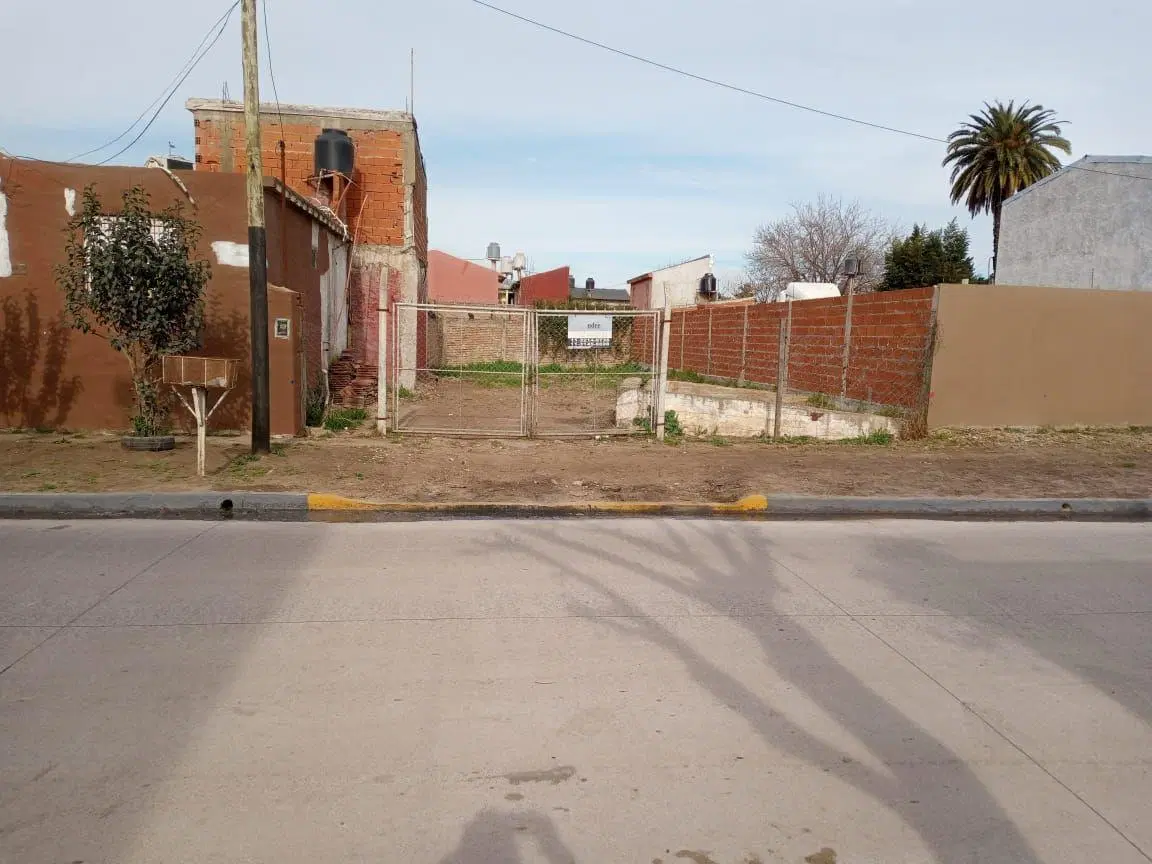 Lote | Baroni al 100 1