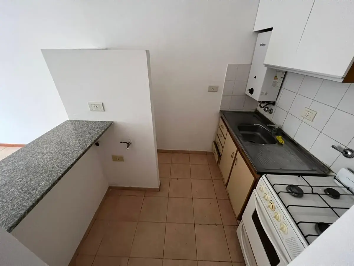 Departamento de 1 dormitorio con patio Luis Agote 4