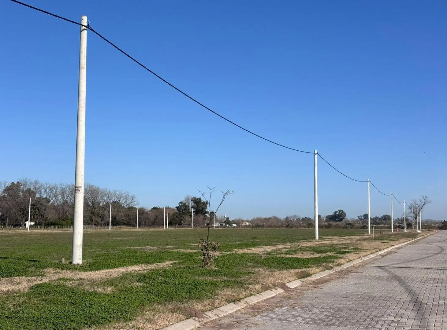 Venta Terreno en Barrio Abierto Fincas del Rosedal Ibarlucea 8