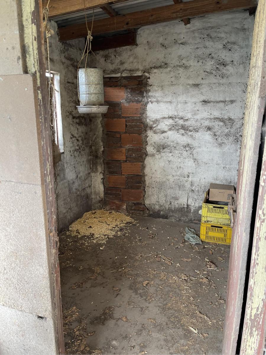 Foto de casa quinta y producción porcina y aviar, imagen 4