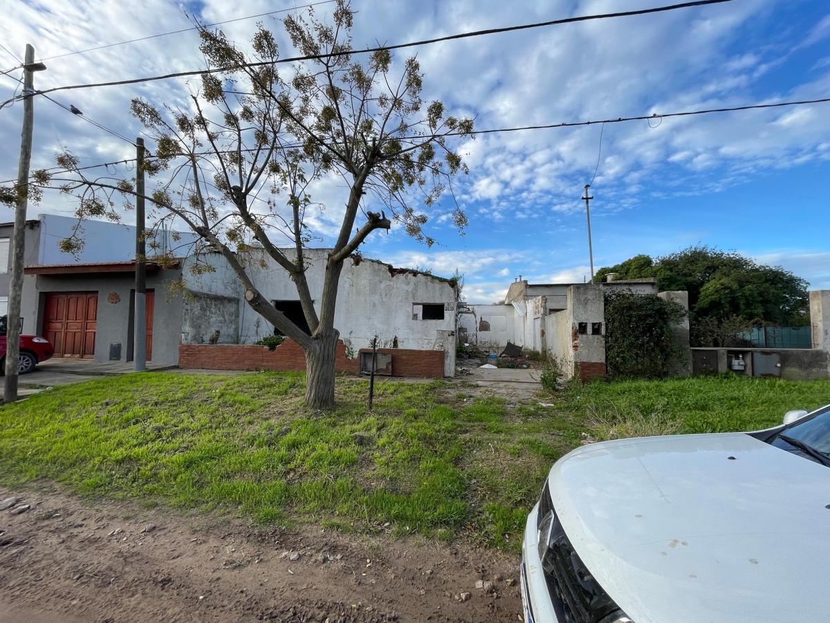 Terreno Calle 81 Entre 46 y 48 300 m² 4