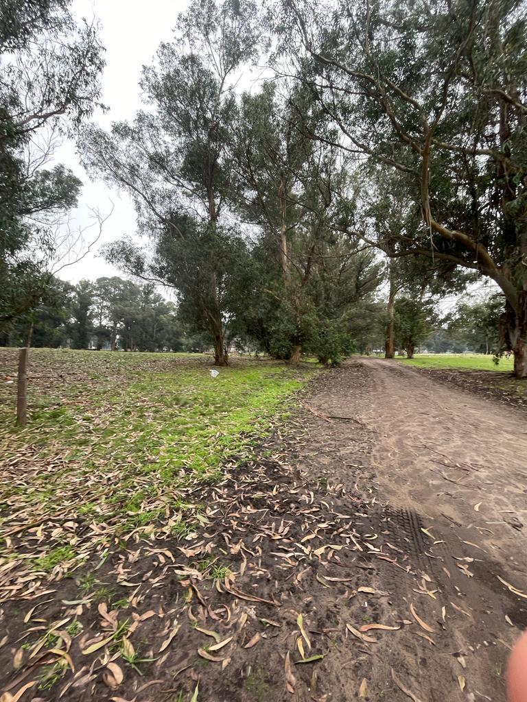 Terreno 64 Entre 165 y 167 Villa Zabala Parque Necochea 3