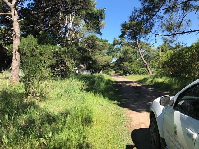 Terreno de 15 Mt Frente por 30 Mt de Fondo 161bis y 58 5