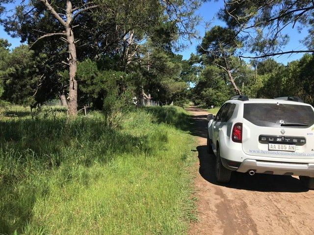 Terreno de 15 Mt Frente por 30 Mt de Fondo 161bis y 58 1