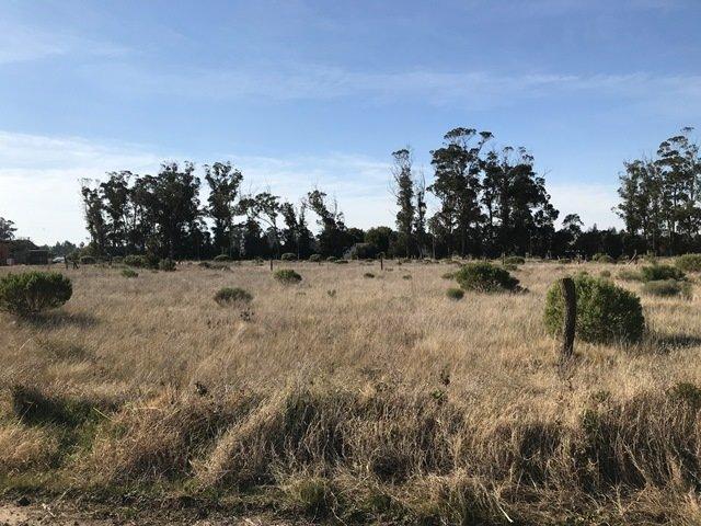 Terreno Zona Parque de 300 m² 4